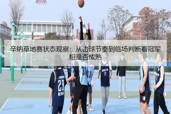 辛纳草地赛状态观察：从击球节奏到临场判断看冠军相是否成熟 | lecaiwang